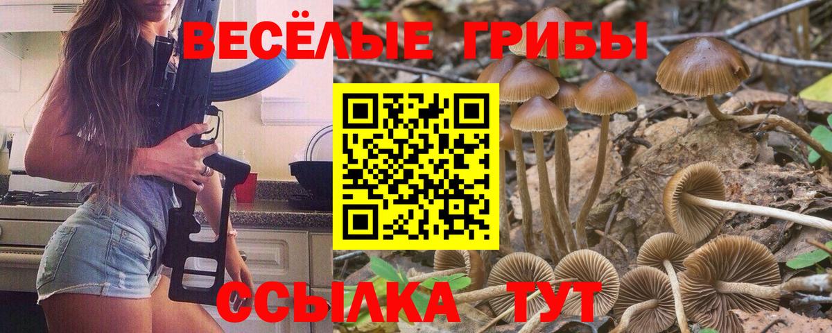 Псилоцибиновые грибы GOLDEN TEACHER Кизилюрт